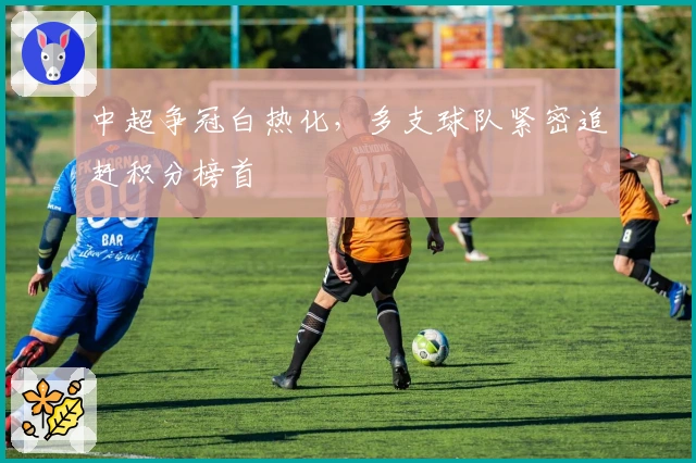 中超争冠白热化，多支球队紧密追赶积分榜首